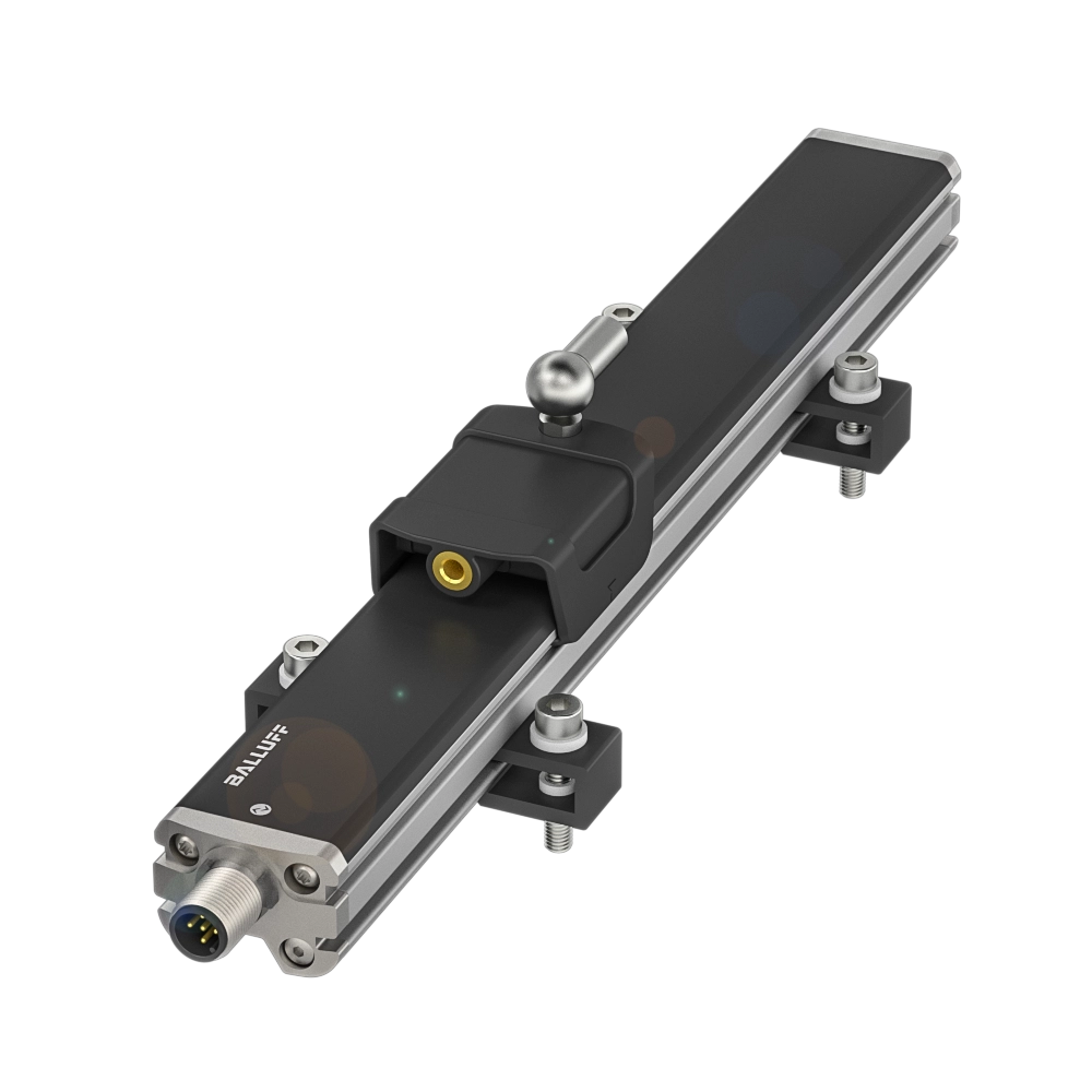 BIR0002