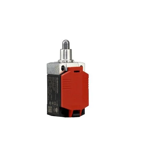 IN73-11 SM 6081000002