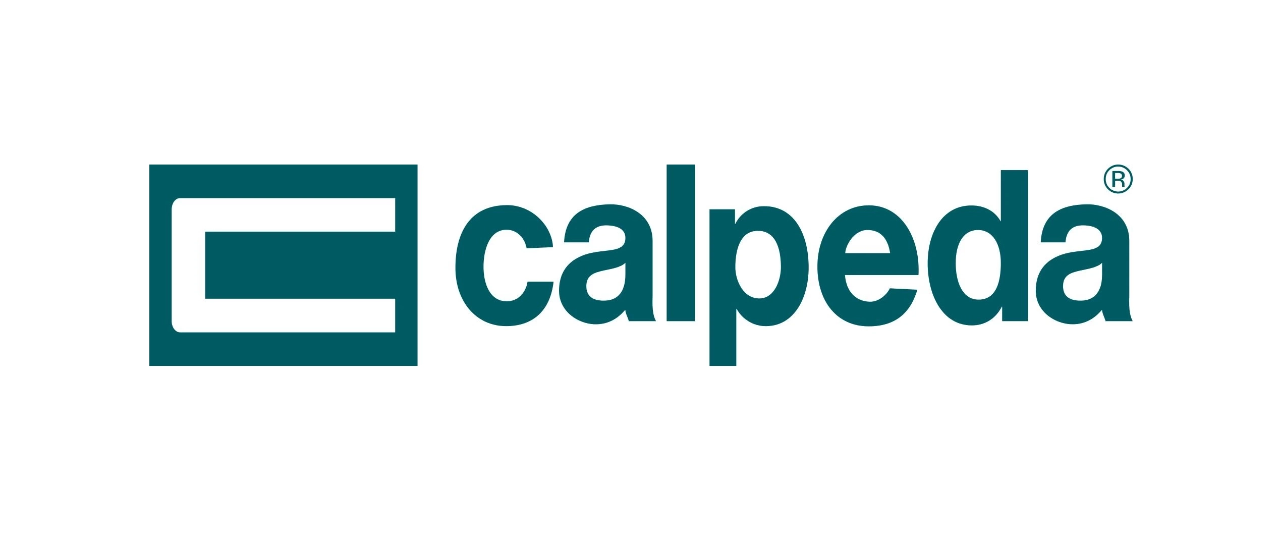 CALPEDA 意大利水泵
